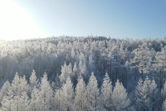 內蒙古大興安嶺：霧凇雪景宛若冰雪童話世界