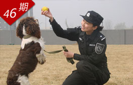 安全衛(wèi)士 訓犬警花